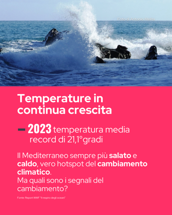 Il Mediterraneo è in sofferenza, con picchi di temperatura e sconvolgimenti